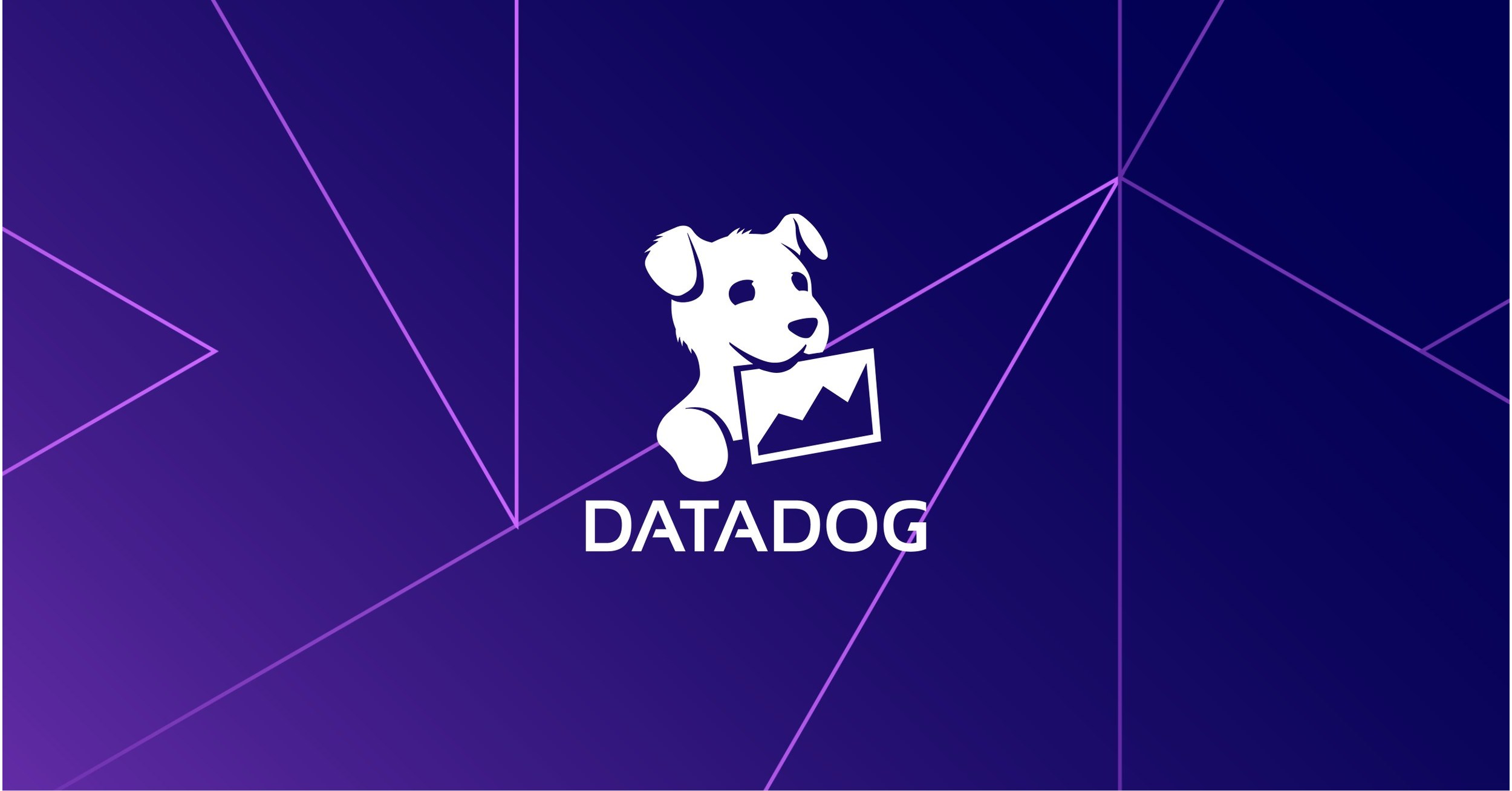 datadog cover photo