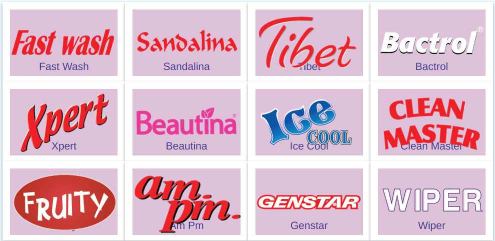 Brands of the company